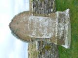 image number 5